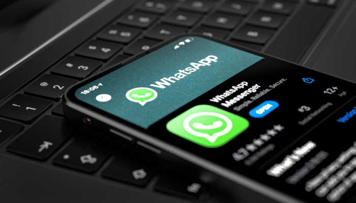 Whatsapp business entenda as novas tendências em marketing digital para 2023